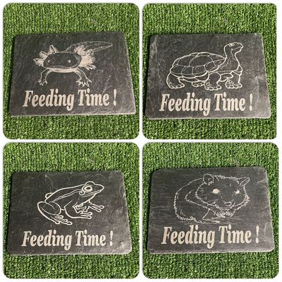 20x14cm LASER ENGRAVED