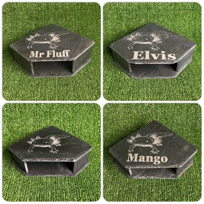 Axolotl Custom Engraved Slate Cave (3 Size Options)