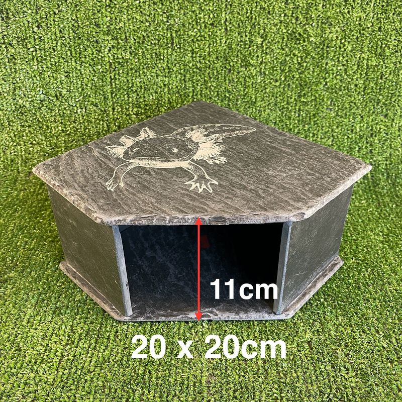 Axolotl Custom Engraved Slate Cave  11x20x20cm