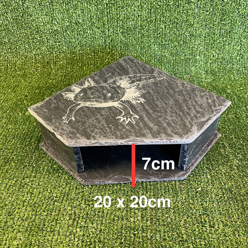 Axolotl Custom Engraved Slate Cave 7x20x20cm