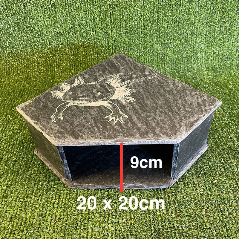 Axolotl Custom Engraved Slate Cave  9x20x20cm