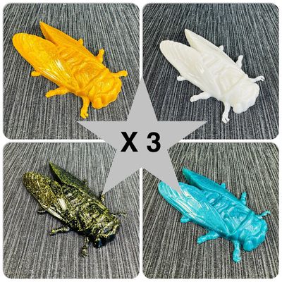 Bug Wall Art, Decorative Models