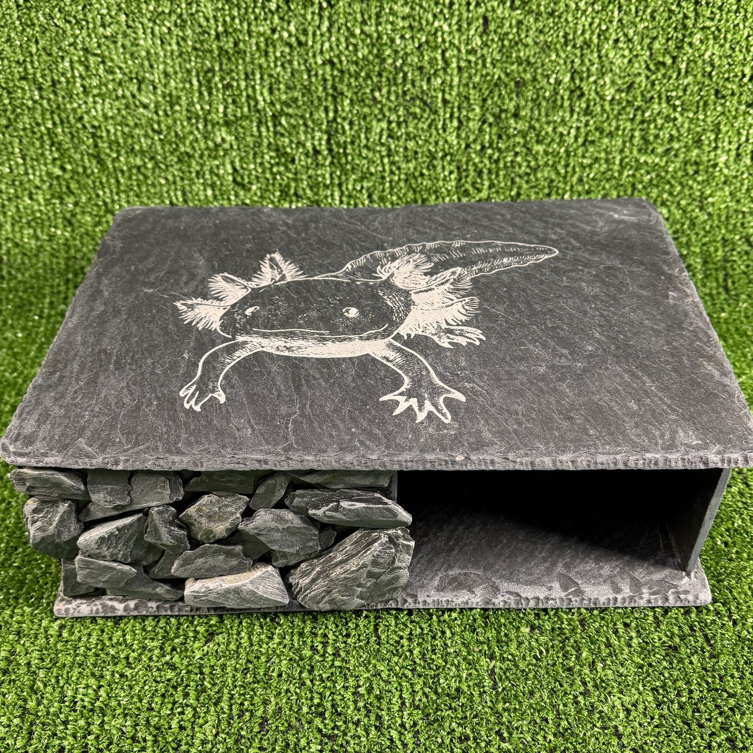 X-LARGE Axolotl Laser Engraved Slate Hide