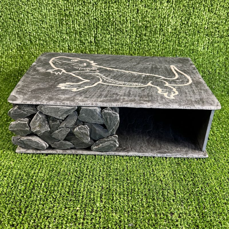 Bearded Dragon Laser Engraved Slate Hide