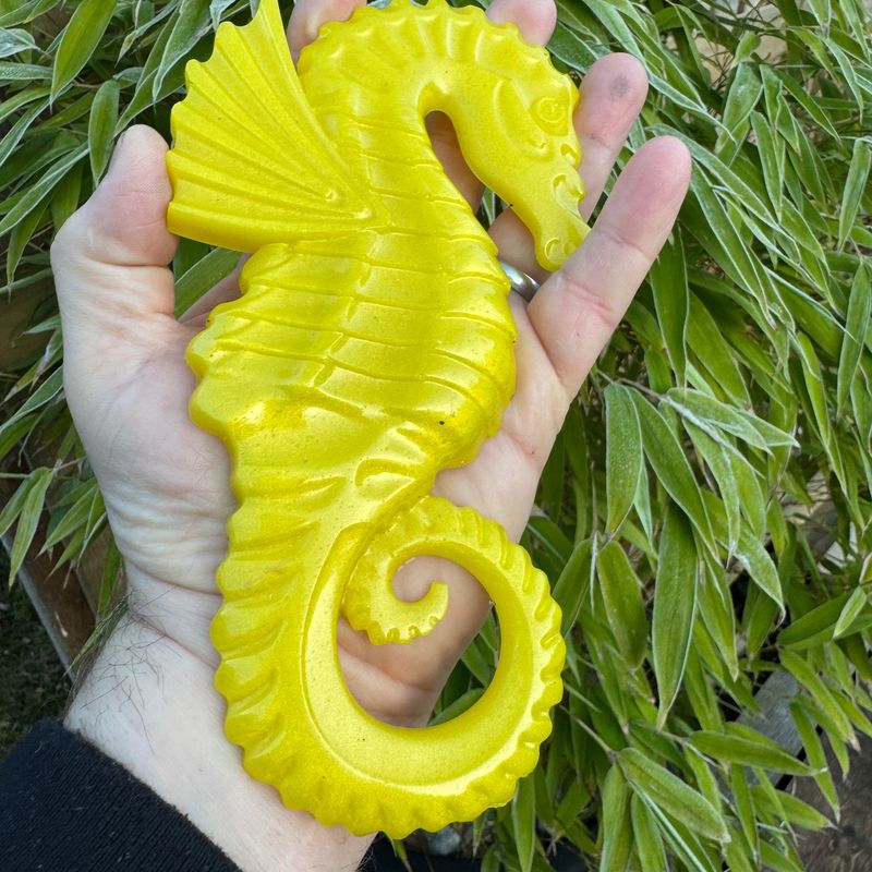 Sea horse Yellow wall art Model