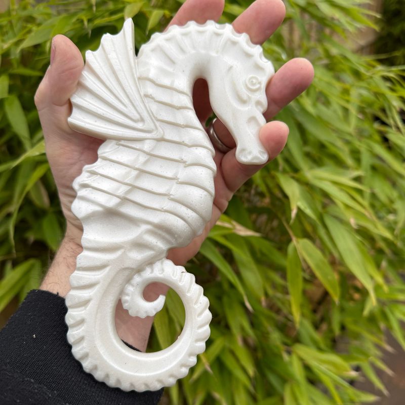 Seahorse Silver wall art Model
