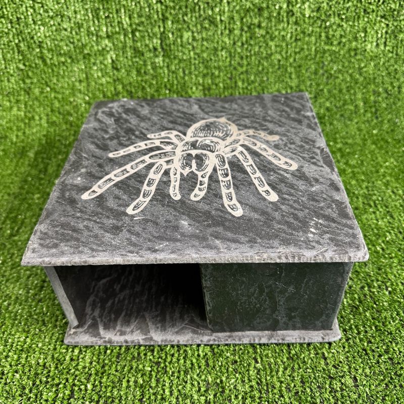 Spider / Tarantula Reptile Slate Cave 9x20x20cm