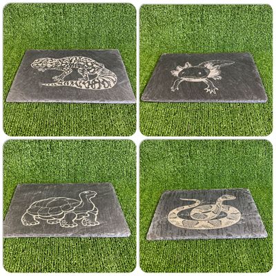 30x20cm Large Basking Feeding Claw Slates.