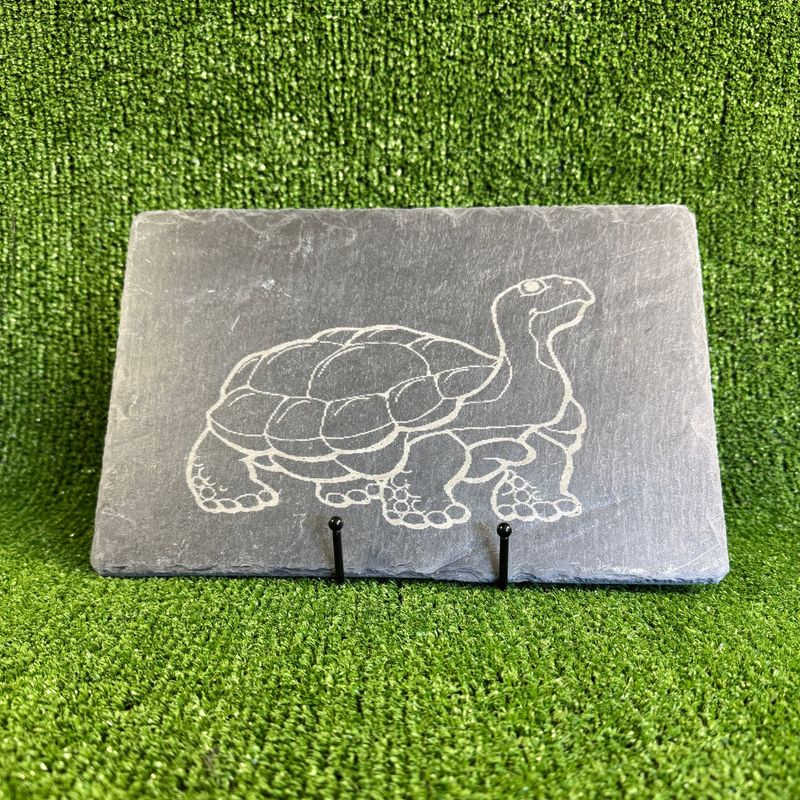 30x20cm Tortoise laser Engraved Sign.