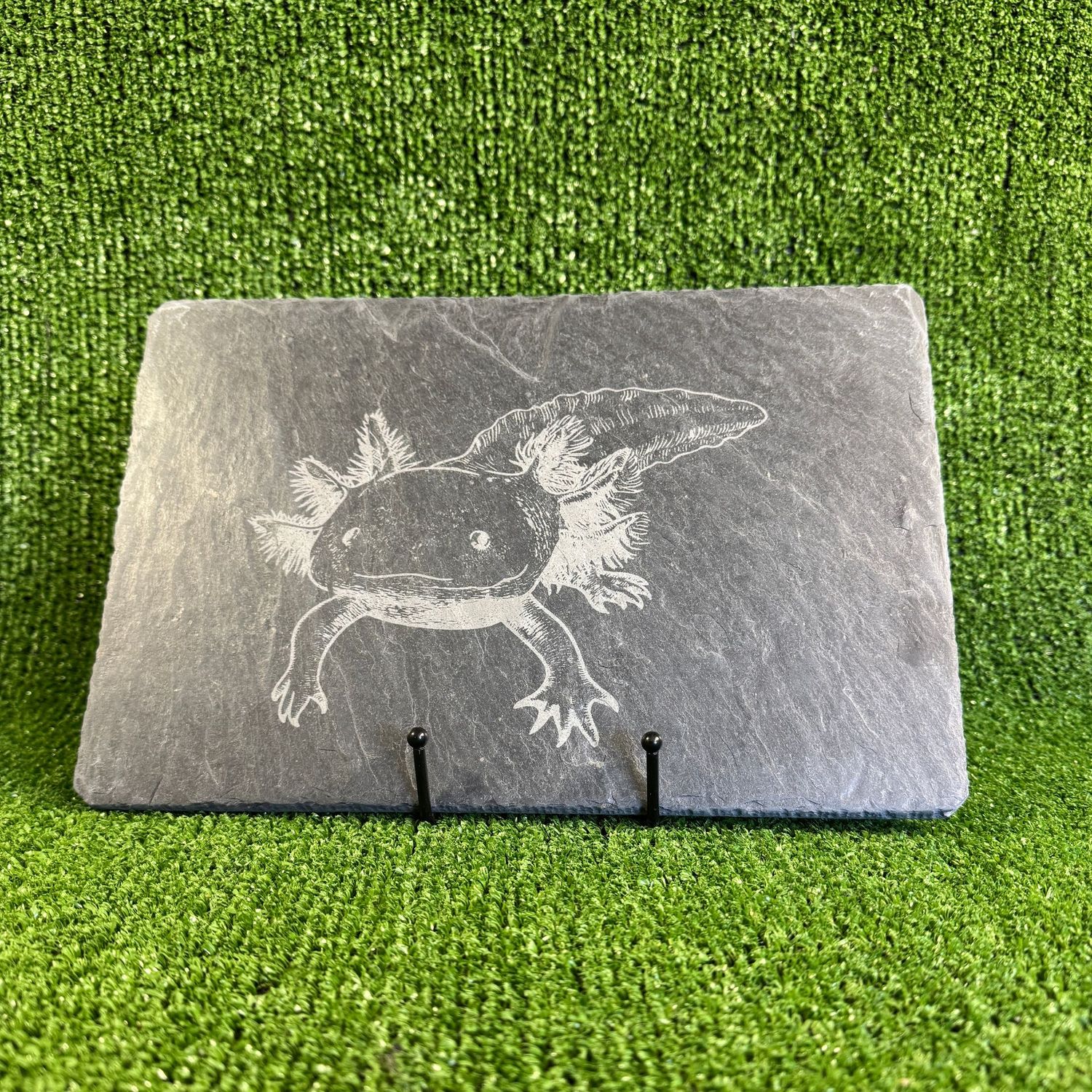 30x20cm Axolotl laser Engraved Sign.