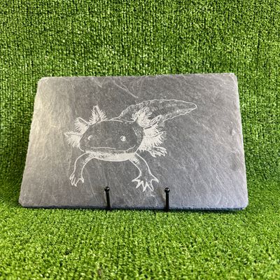 30x20cm Axolotl laser Engraved Sign.