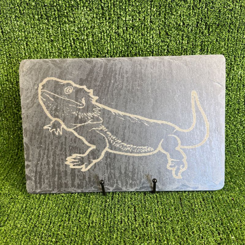 30x20cm Bearded Dragon 1 laser Engraved Sign.