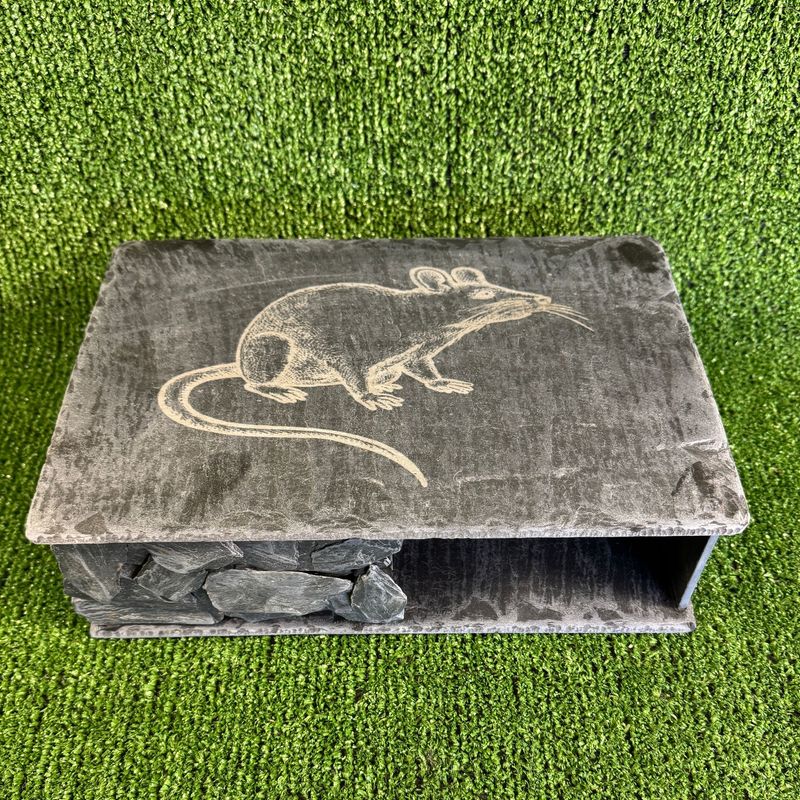 X-LARGE Rat Laser Engraved Slate Hide
