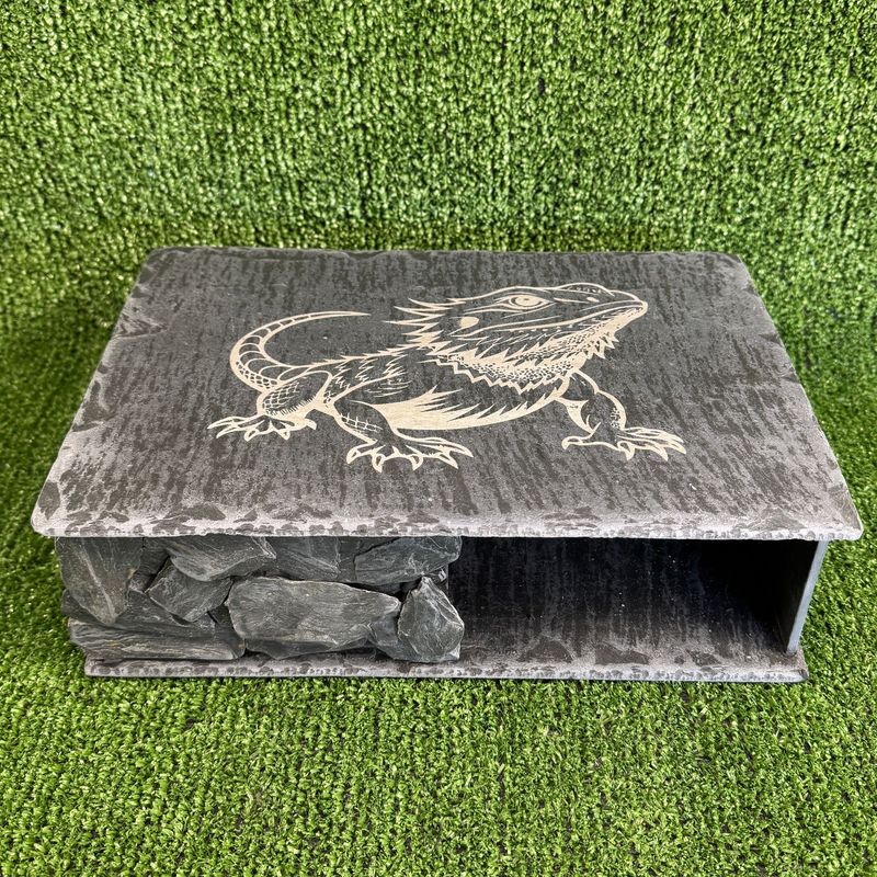 X-LARGE Bearded Dragon Laser Engraved Slate Hide