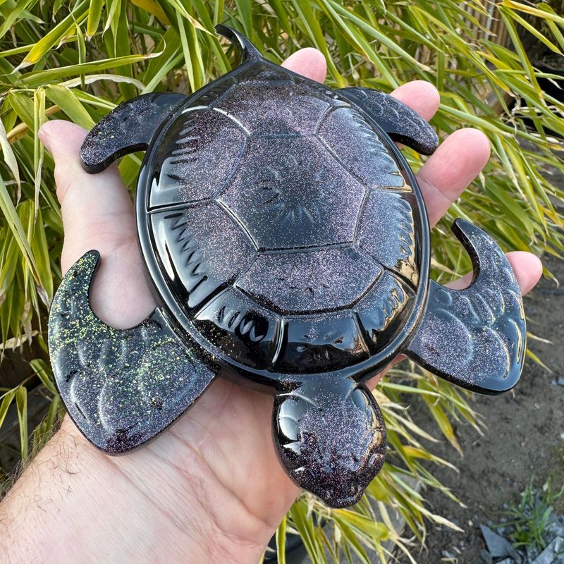 Turtle Colourful Resin Model Wall Art