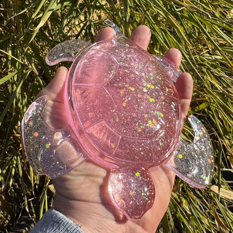 Turtle Pink Colourful Resin Model Wall Art