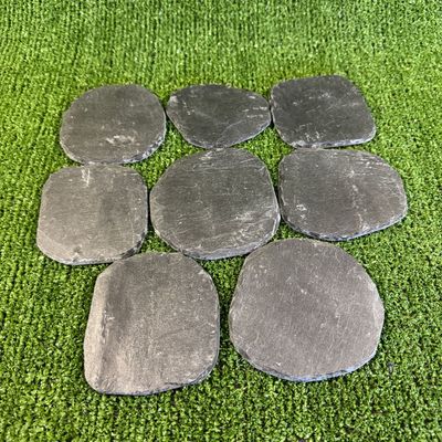 Slate 8 Aquarium Vivarium, Feeding, Claws, Decoration.