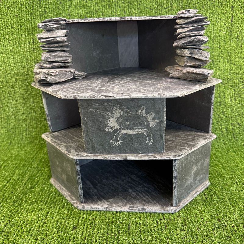 Large Slate Reptile Triple Aquarium cave for Axolotls.