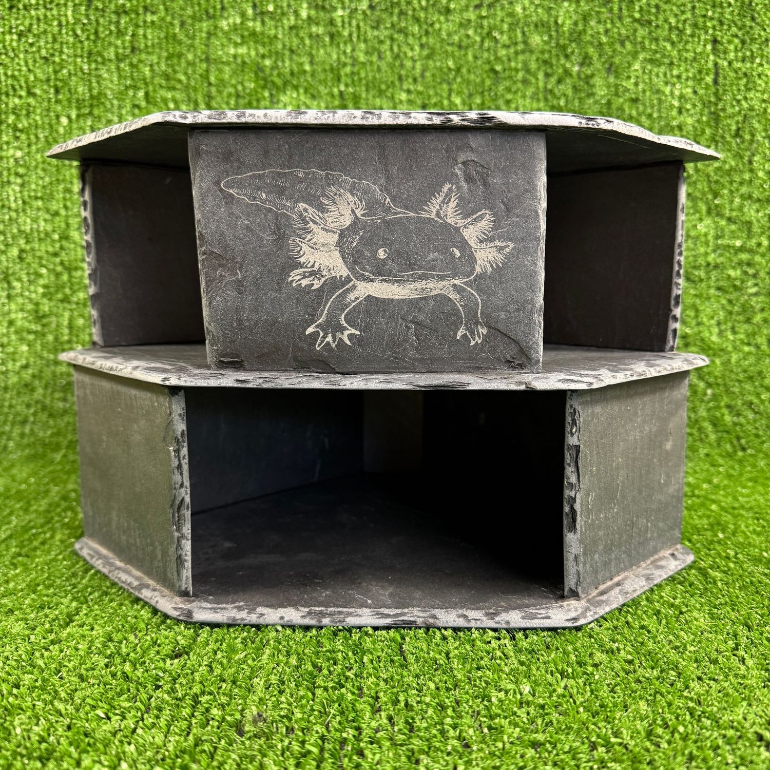Axolotl Big Double Slate Laser Engraved Cave.