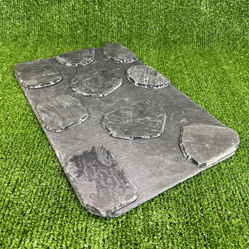 LARGE 40x25cm Reptile Pond Wildlife Ramp