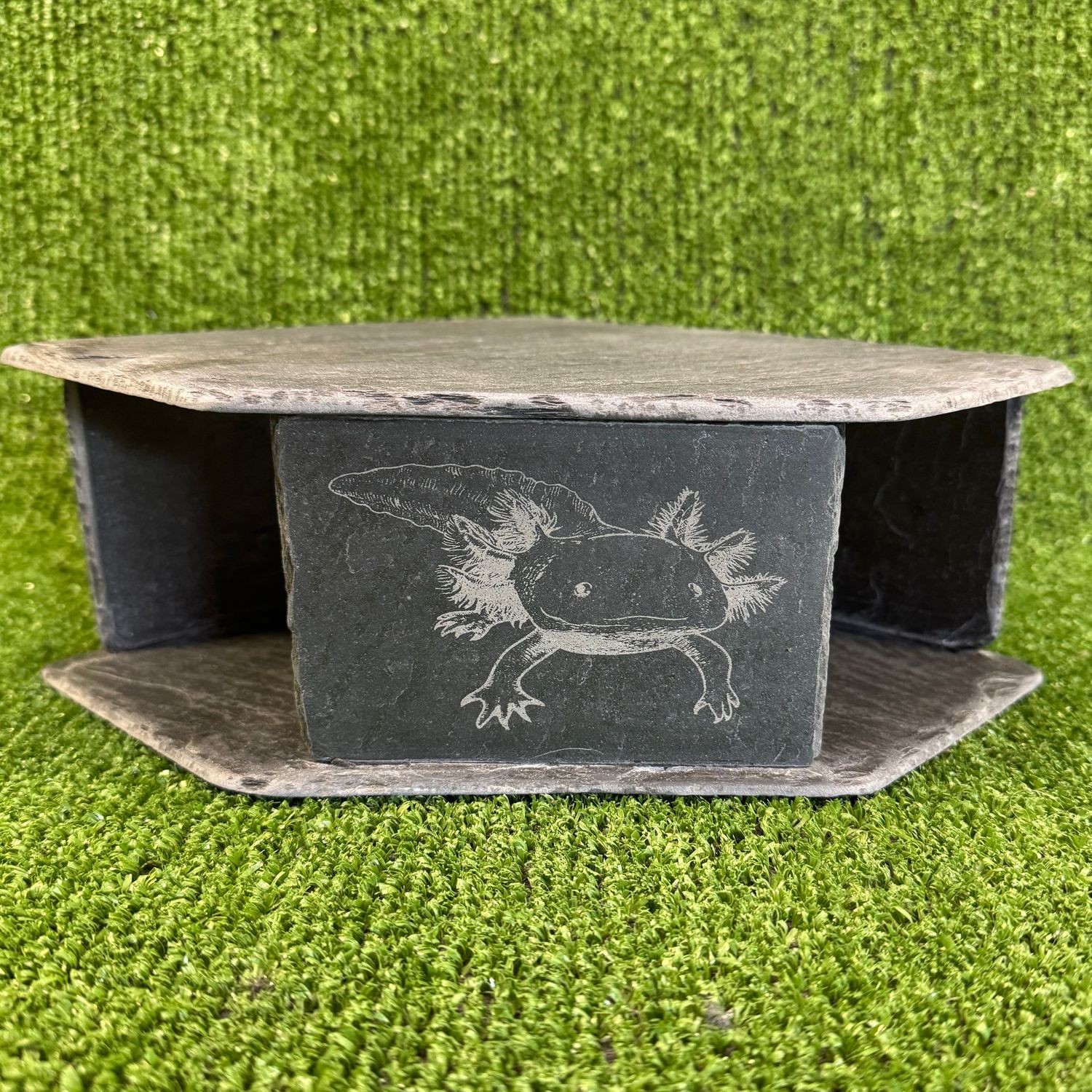 Axolotl Engraved Slate Cave  9x20x20cm