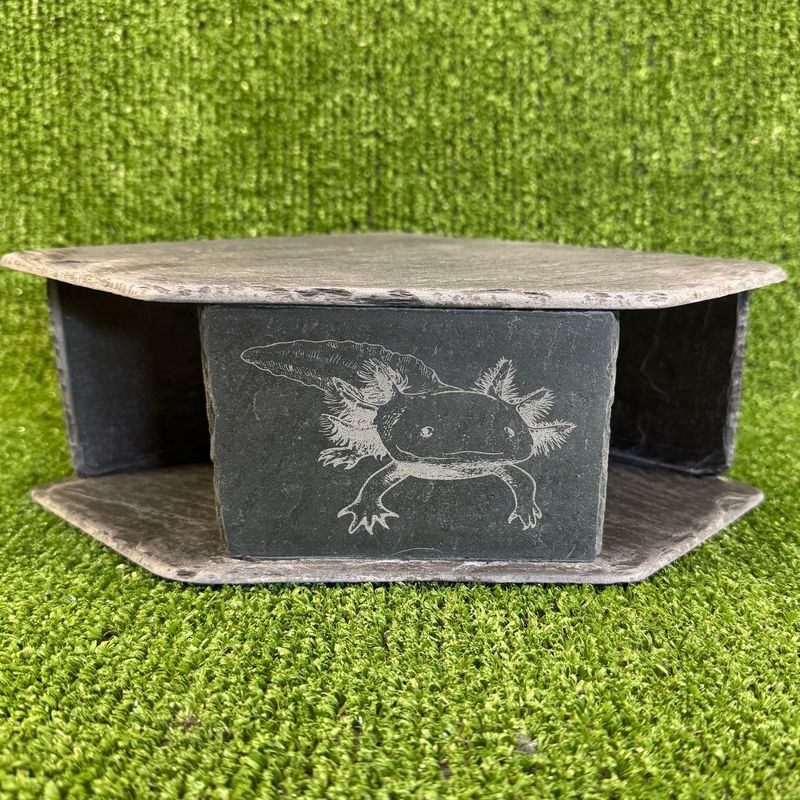 Axolotl Engraved Slate Cave  9x20x20cm