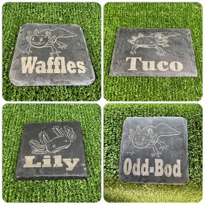 9x9cm Axolotl Natural Engraved Slates
