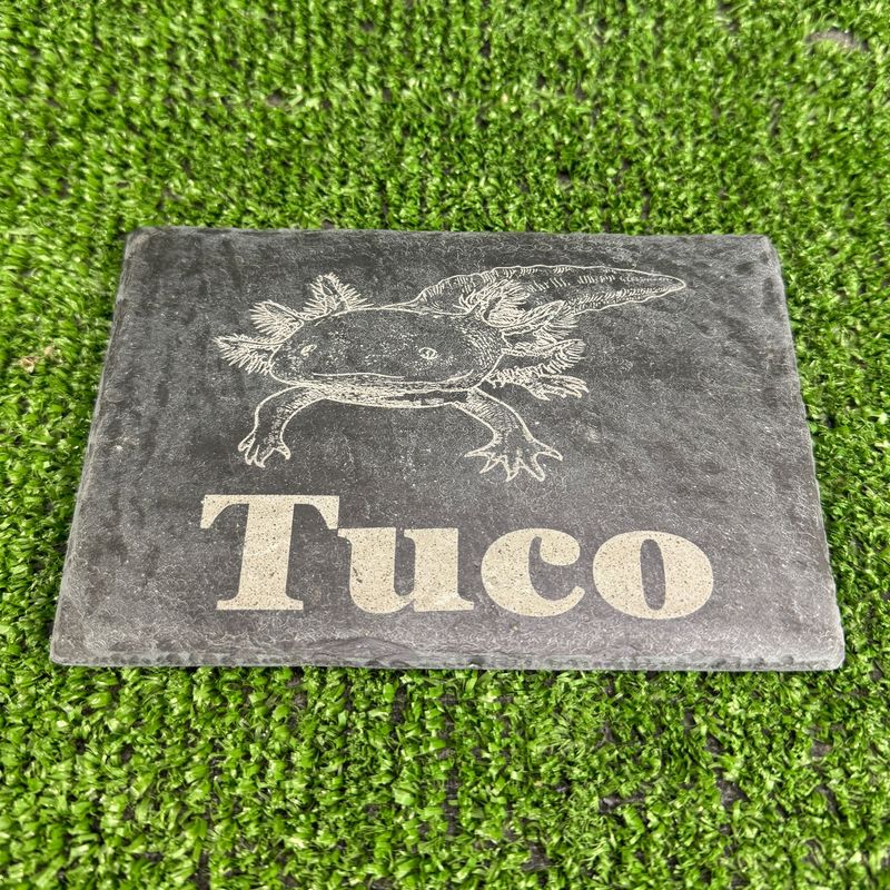 Style 1 Axolotl Laser engraved with Name