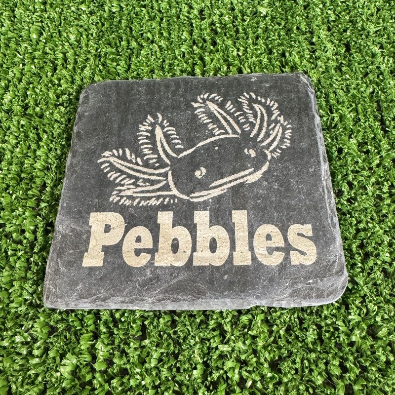 Style 4 Axolotl Laser engraved with Name