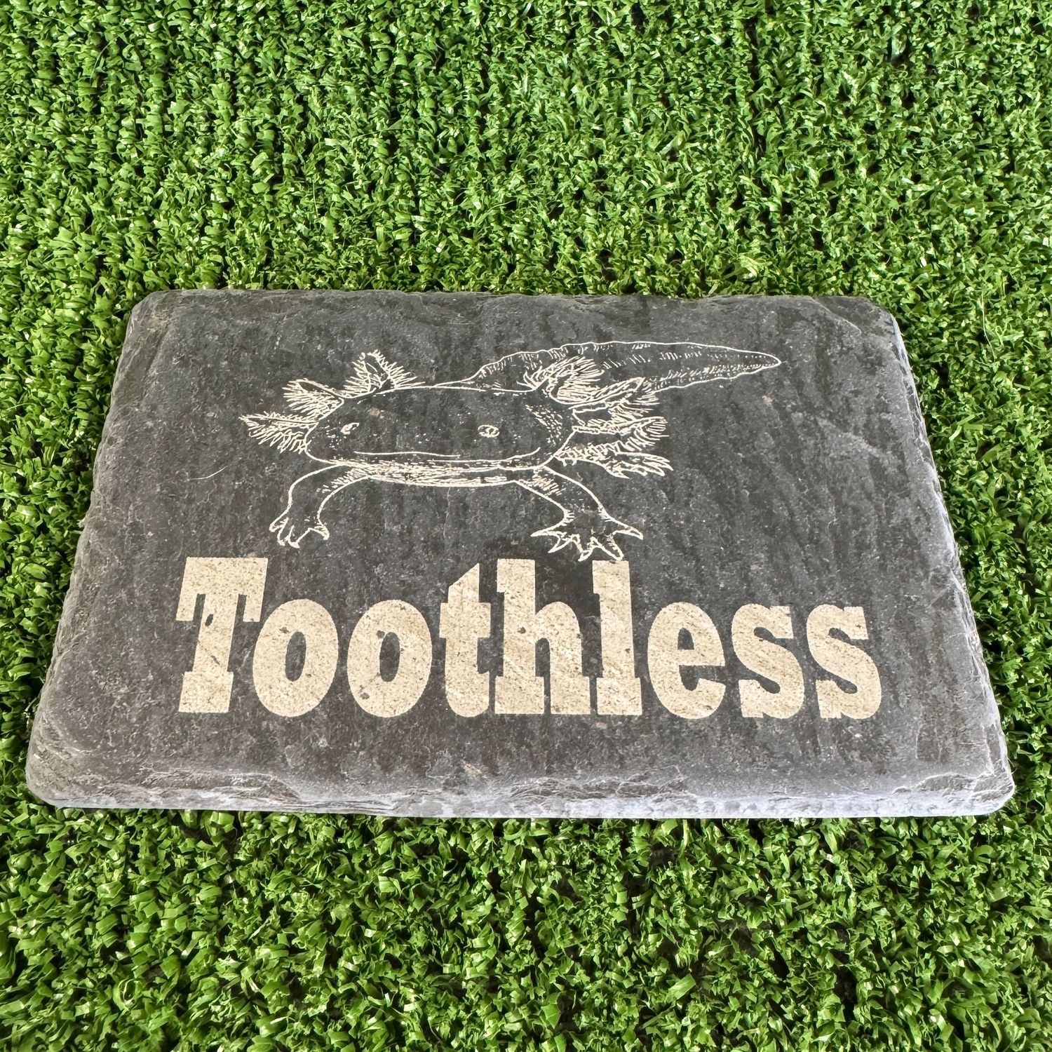Style 1 Natural Axolotl 14x9cm Name Slate Sign