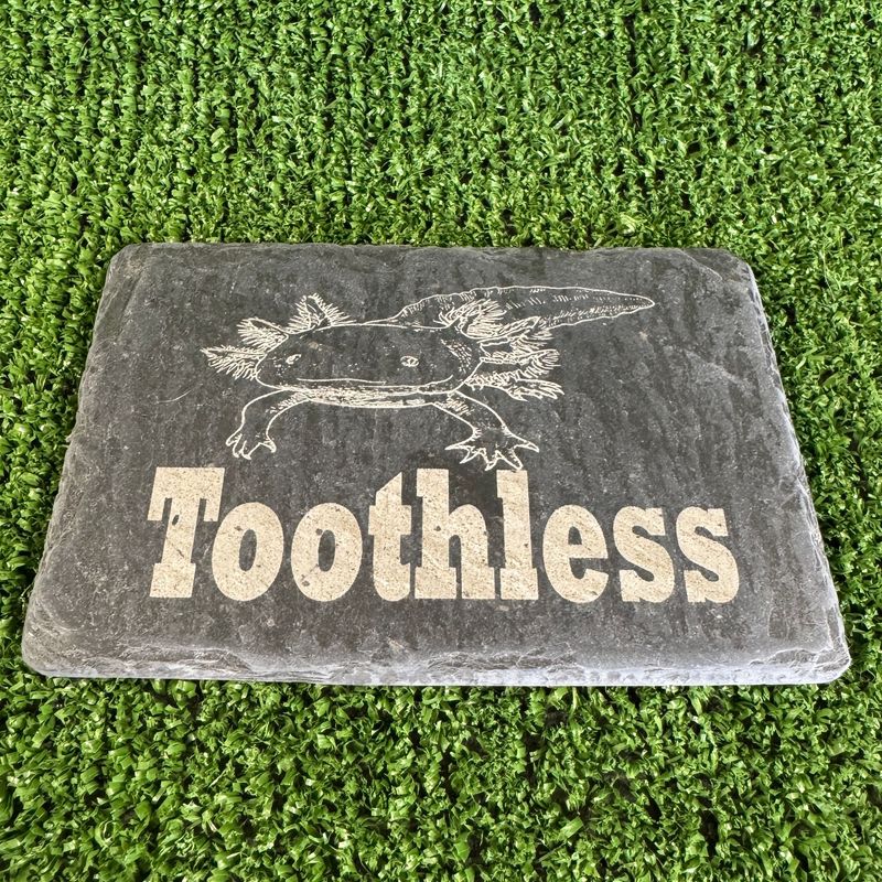 Style 1 Natural Axolotl 14x9cm Name Slate Sign
