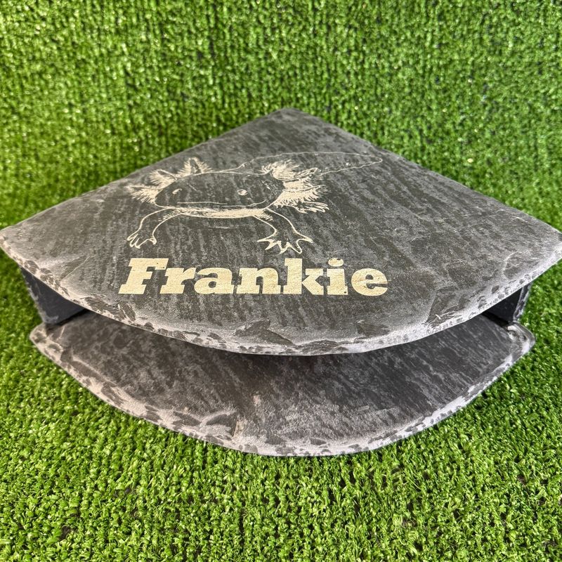 Axolotl laser engraved Slate Cave