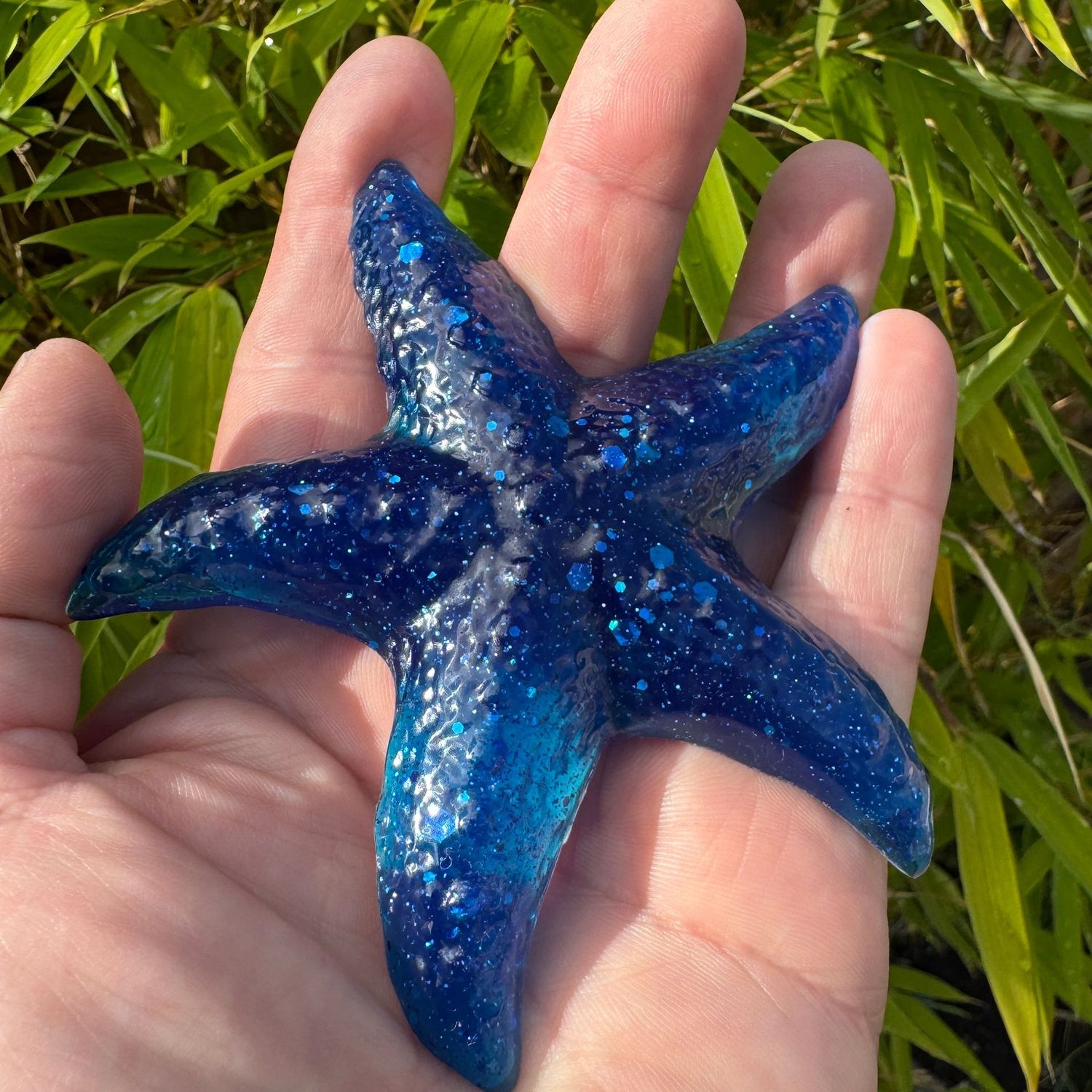 Beautiful Blue Life size Starfish Model.