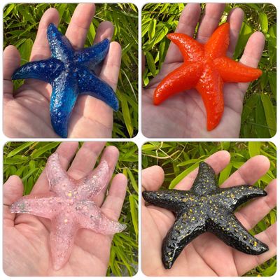 Starfish Wildlife Sea Models