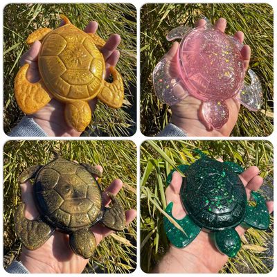 Turtle Model Collection