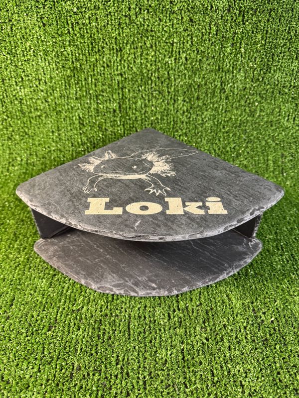 Axolotl laser engraved Slate Cave 9x20x20cm