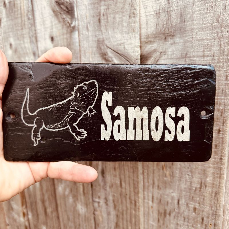 BEARDED DRAGON (1) Gloss Laser Engraved Vivarium Sign