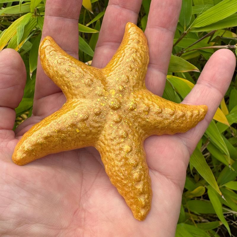 Starfish Wildlife Beautiful Gold Life size Model.