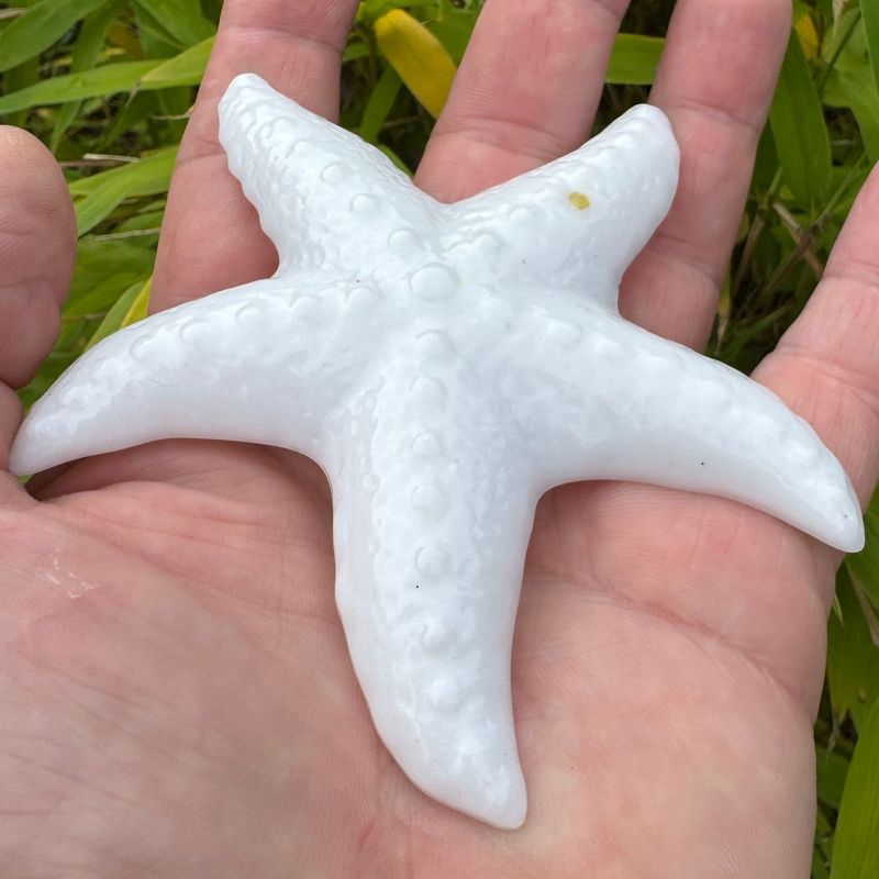 Starfish Wildlife Beautiful White Life size Decorative Model.