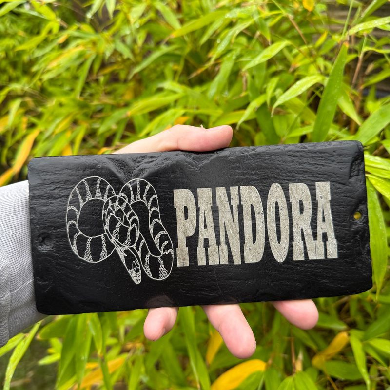 CORN SNAKE Gloss Laser Engraved Vivarium Sign