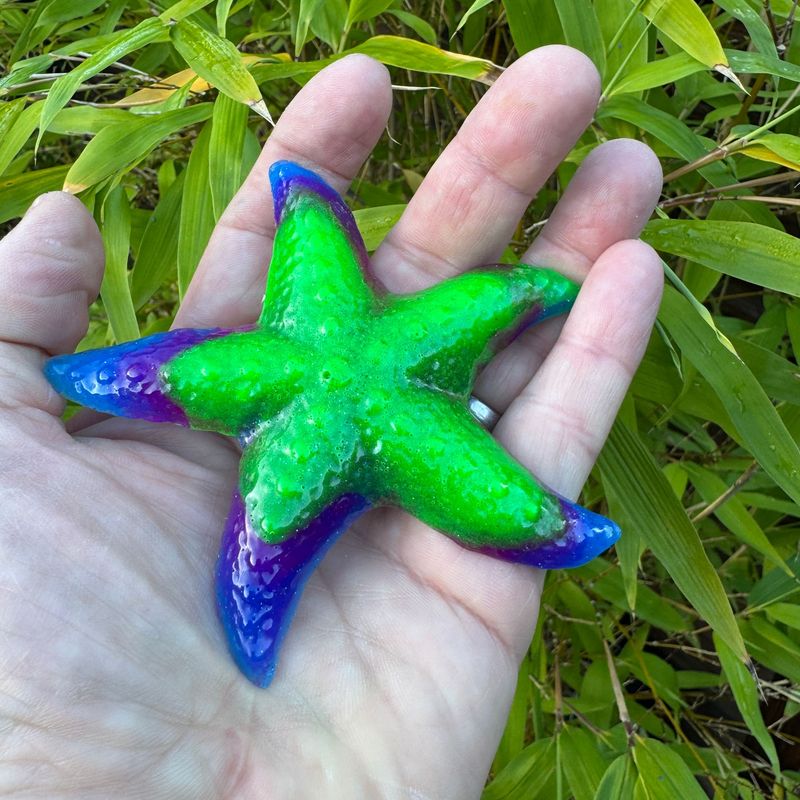 Starfish Multi-Coloured Life size Wildlife Model.