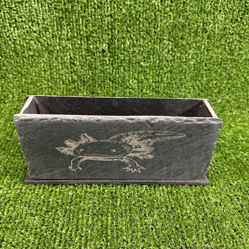 Axolotl Aquarium Bubble Wall Natural slate.