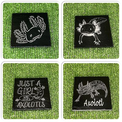 Axolotl Slate Coasters