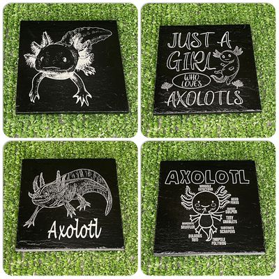 Axolotl Slate Coasters