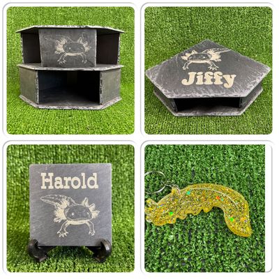 Axolotl Gifts