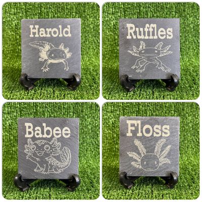 Axolotl Natural Aquarium Slates 9x9cm (9 Designs)