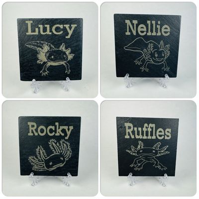 Axolotl Natural Aquarium Slates