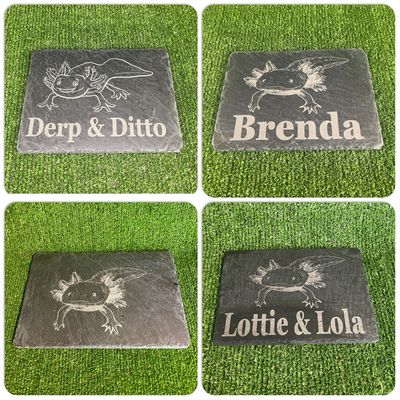 Axolotl Natural Engraved Slates