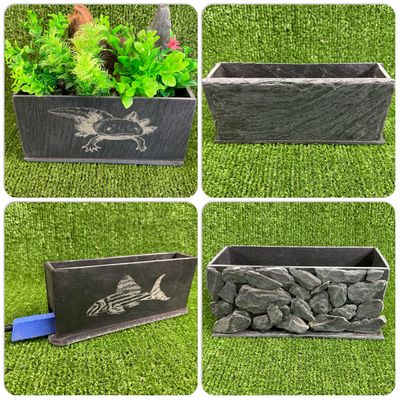 Axolotl Planters and Bubble Walls.