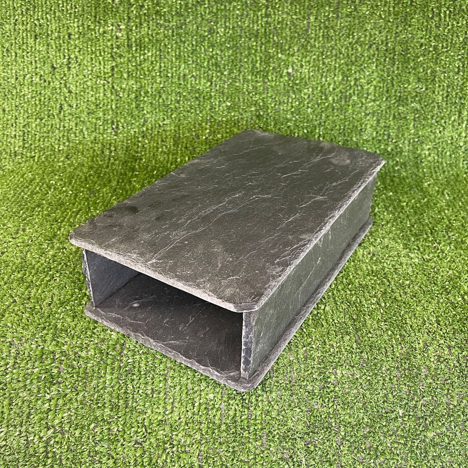 Aquarium and Reptile Slate Through Cave Geckos, Axolotl, Bearded Dragons.